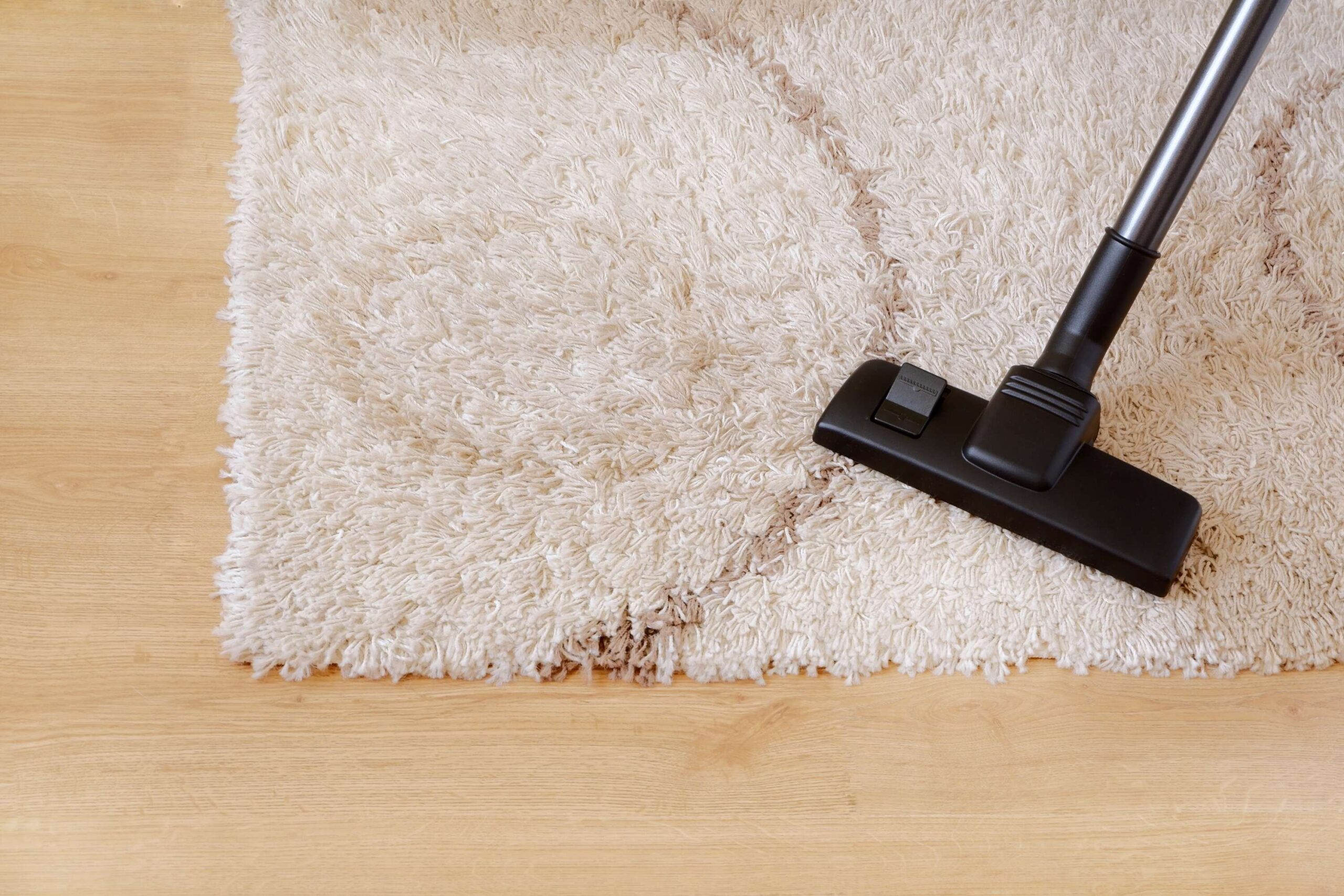 Cleaning Oriental Rug with a Vacuum cleaner
